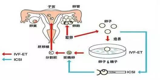 52岁了月经还有正常吗月经什么颜色正常吗 52岁月经正常怀孕几率大吗