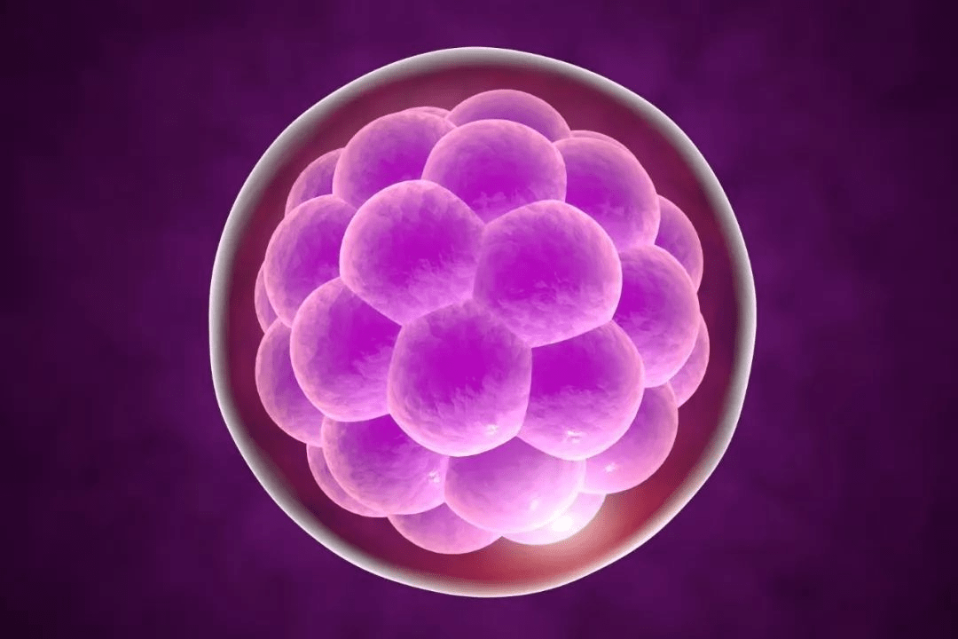 2024几月份怀孕男孩 怀男宝的症状可准了